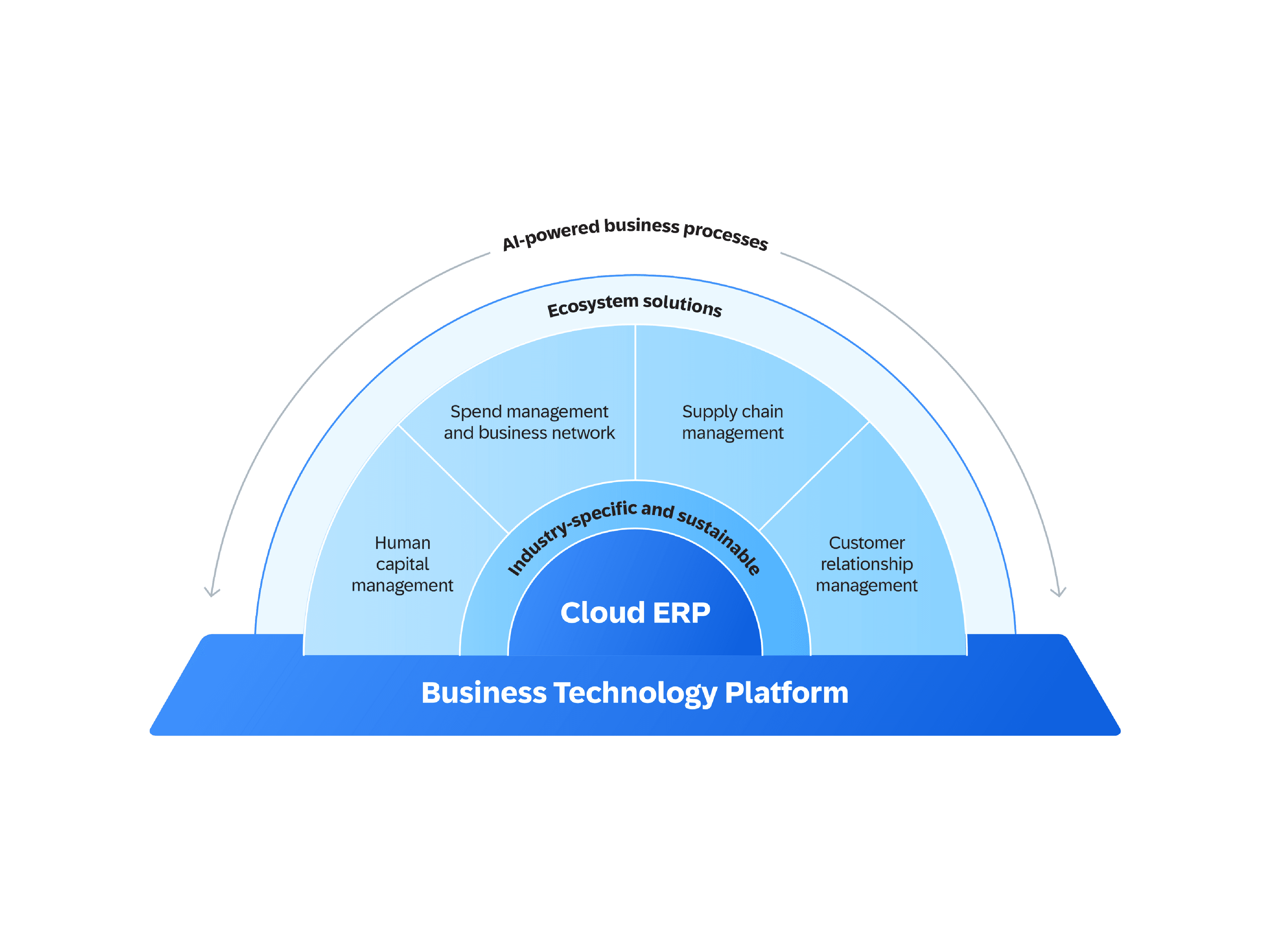 RISE with SAP diagram